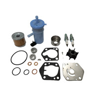 Suzuki Marine Maintenance Kit DF9.9B/15A/20A (13+)