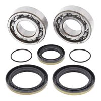 CRANK BRG SEAL KIT 24-1111