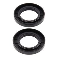 Crank Shaft Seal Kit 24-2029