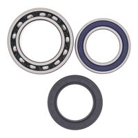 All Balls Racing Wheel Bearing Kit (25-1011)