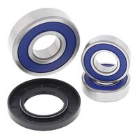 Wheel Bearing Kit Rear 25-1096