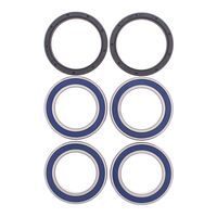 All Balls Racing Wheel Bearing Kit (25-1565)