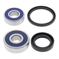 All Balls Racing Wheel Bearing Kit (25-1602)