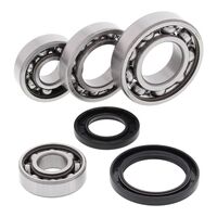 DIFF BEARING & SEAL KIT 25-2017