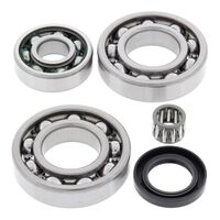 DIFF BEARING & SEAL KIT 25-2018