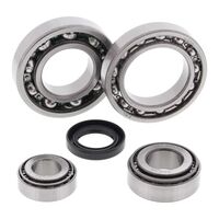 DIFF BEARING & SEAL KIT 25-2019