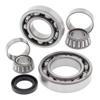 DIFFERENTIAL BEARING KIT 25-2038