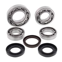 DIFF BEARING & SEAL KIT REAR 25-2099