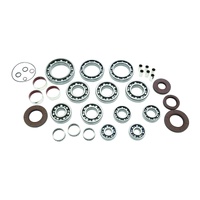 Transaxle Bearing & Seal Kit 25-2114