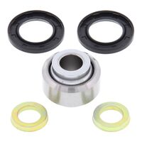 SHOCK BEARING AND SEAL KIT 29-5005