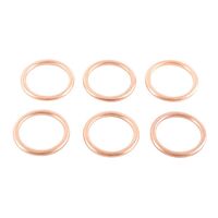 EXHAUST GASKET KIT 823013