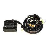 STATOR HI POWER KIT CRF450X - ESG472/ESR602 - INDENT