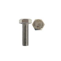 1/4'' x 1'' Hex Bolt 304-Grade Stainless Pk of 4