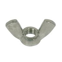 1/4'' UNC Wing Nuts Stainless 304-Grade Pk of 2