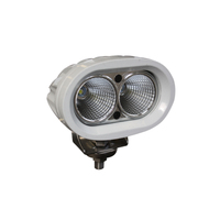 Viper ET 20w LED Deck Light White