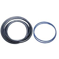 O-Ring For Inspection Ports (4-inch) 100mm