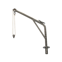 Swivelling Davit Stainless Steel Single Arm Rated 80kg