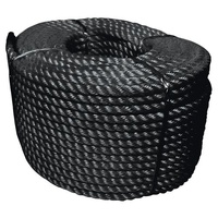 Polyester Rope Black - 12mmx100m