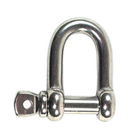 Shackle D 316g S/S 20mm stainless