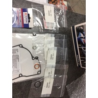 suzuki rmz250 service kit 990aa-skrmz-250