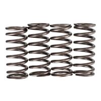 Premier Clutch Springs - Heavy Duty