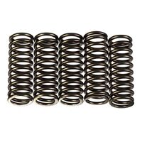 Premier Clutch Springs - Heavy Duty