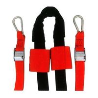 Total Package Harness-Van Type Inverted (10)