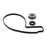 PWC VERTEX WATER PUMP REBUILD KIT 621214